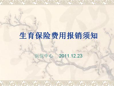 职工生育保险医疗费用支付标准是多少？
