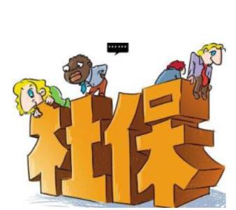 社会养老保险新政策有哪些特点？