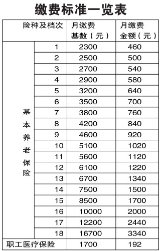 灵活就业人员社保缴费标准是多少？