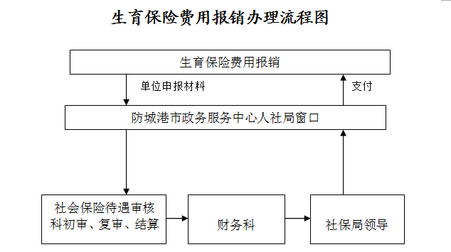 合肥生育保险报销流程图