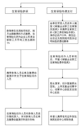 2017年福建生育保险报销条件有哪些？