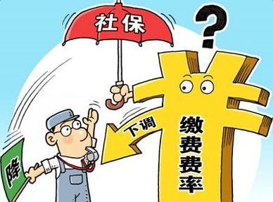 河北张家口城乡居民基本养老保险缴费标准