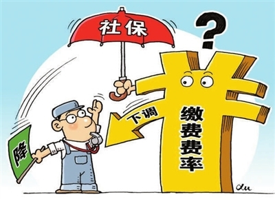 安徽灵活就业人员参保职工养老保险缴费比例是多少？
