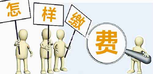 养老保险缴纳可以以个人缴纳吗？