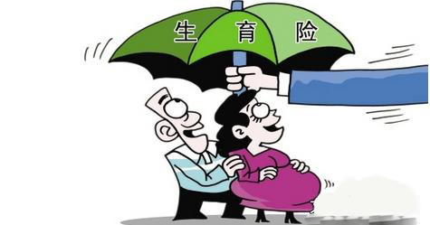 上海参保人怎么查询生育保险缴费明细？