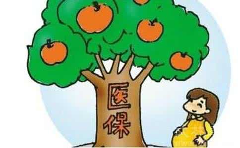计划生育费用报销申领指南