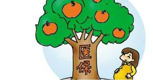 机关事业单位职工生育保险缴费比例