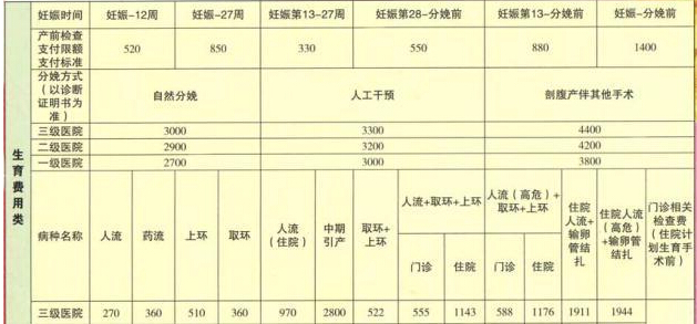最新异地生育保险报销操作指南（图）