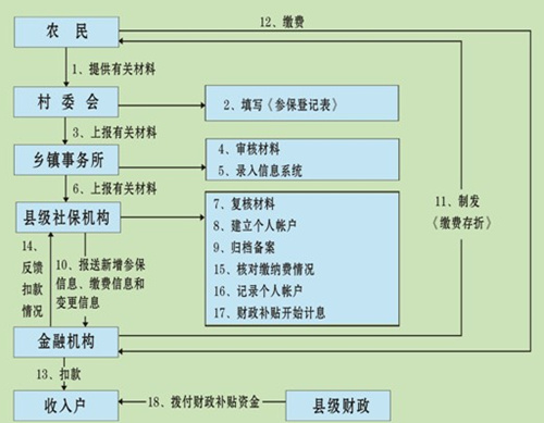 2017年农村养老金发放标准是多少呢?