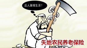 被征地农民养老保险补贴标准