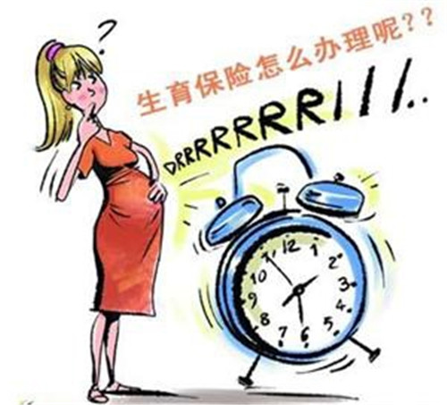 个人怎样购买生育保险