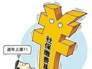 养老保险缴费基数