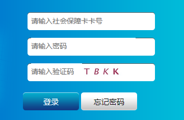 铁岭医保卡余额查询有哪些方法？