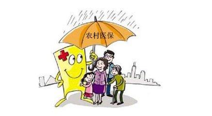 农村医保如何分户?