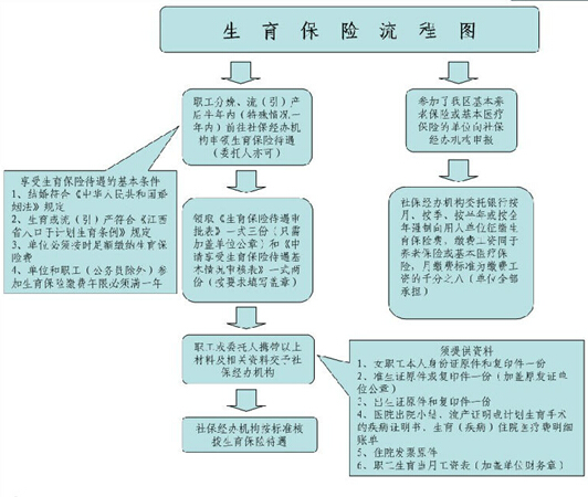 男方生育保险如何报销?