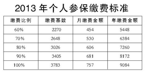 城镇养老保险缴费标准查询