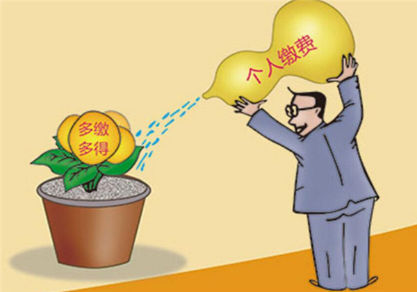 事业单位抚养比不平衡;社会养老金不应与企业养老金混用