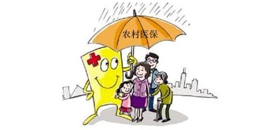 保险知识汇总农村医疗保险制度的建设