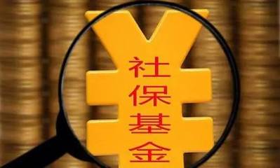全国社保基金一一零组合