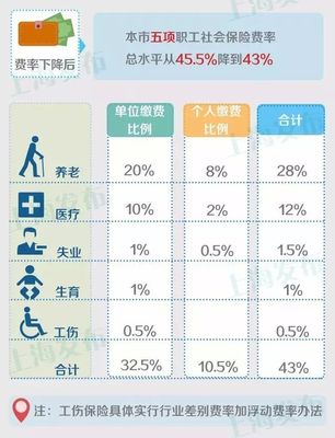 个人缴纳社保比例