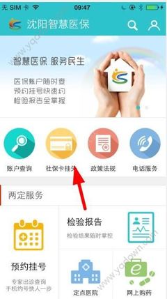 医保卡口头挂失是怎么