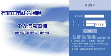 石家庄社保查询个人账户查询