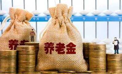 北京市退休人员养老金数据库管理
