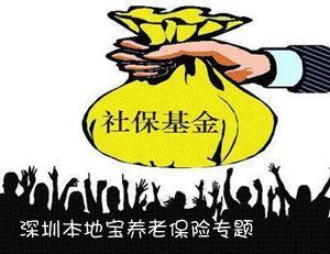 深圳基本养老保险缴费指数