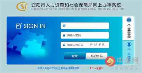 辽阳市养老保险个人帐户查询