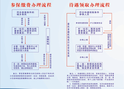 居民基本养老保险办理流程